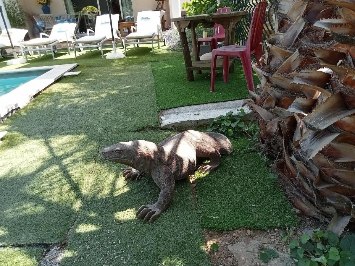 Villa La Croisette Sainte-Maxime Eksteriør billede